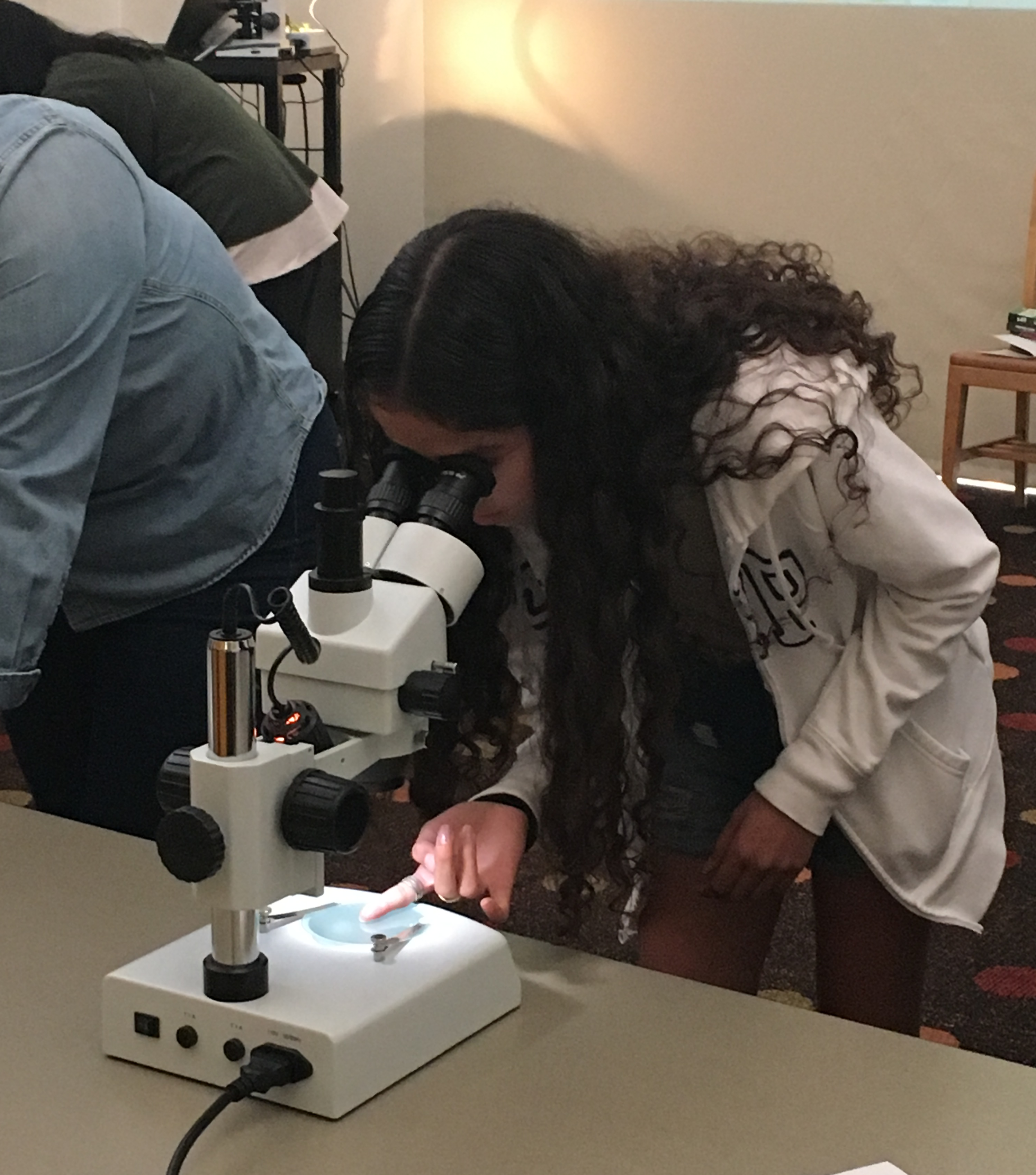 Girl looking into a microscope