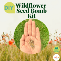Wildflower Seed Bomb Kit
