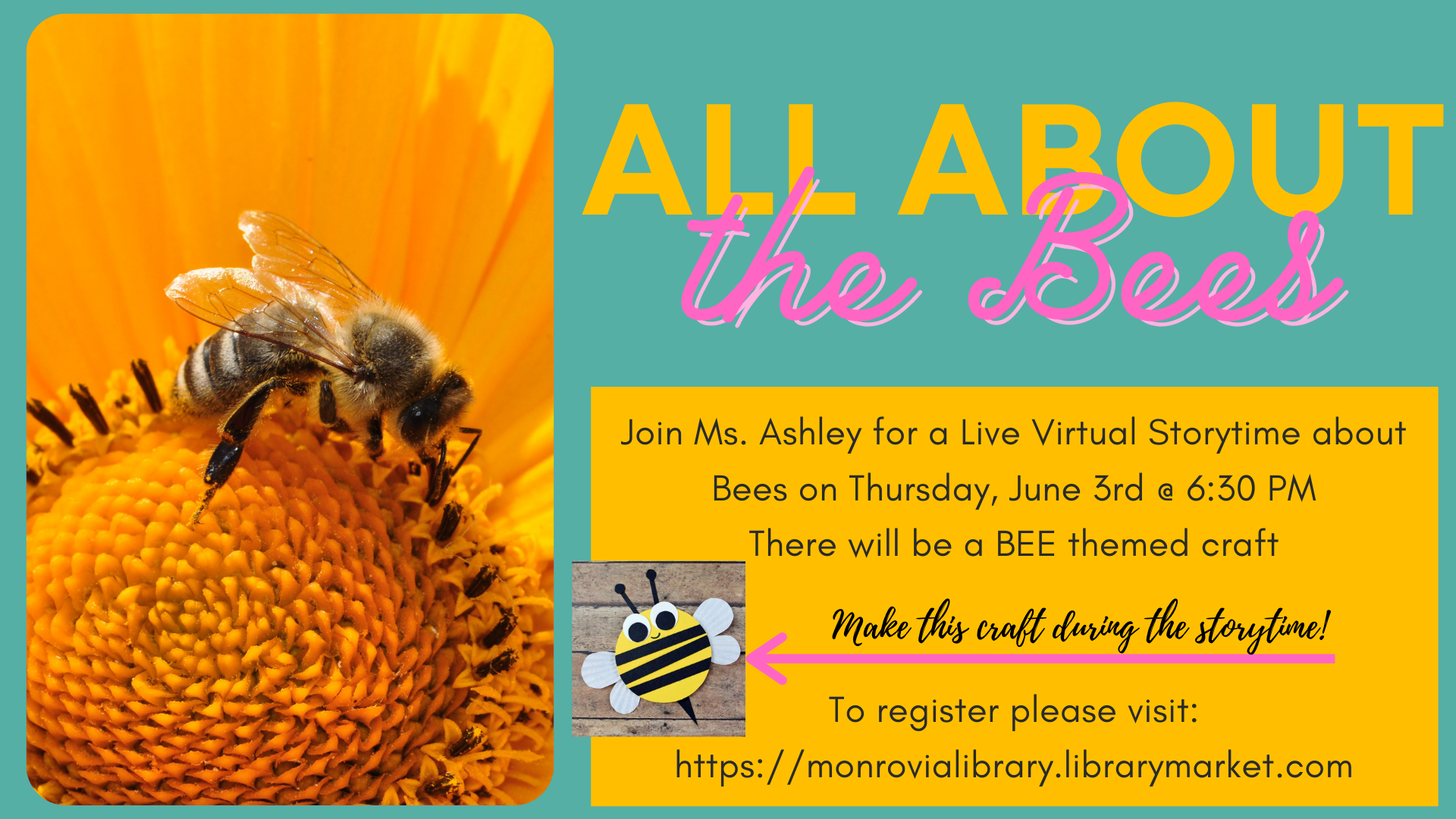 Virtual Storytime All About the Bees June 3rd at 6:30 pm