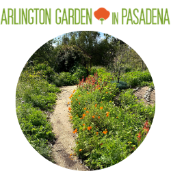 Arlington Garden in Pasadena