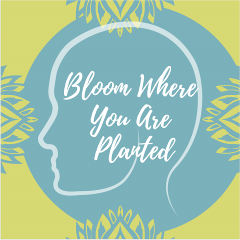 Bloom Where You Are Planted