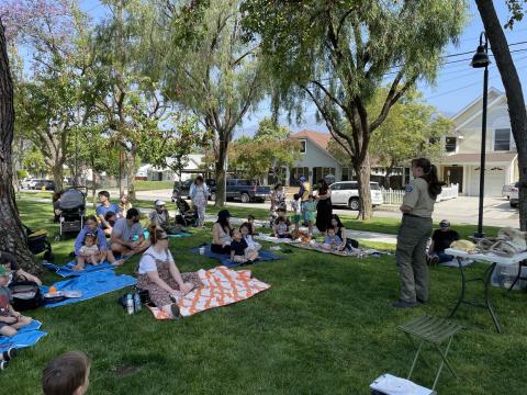 Pictures of storytime with Park naturalists with trees, people and grass