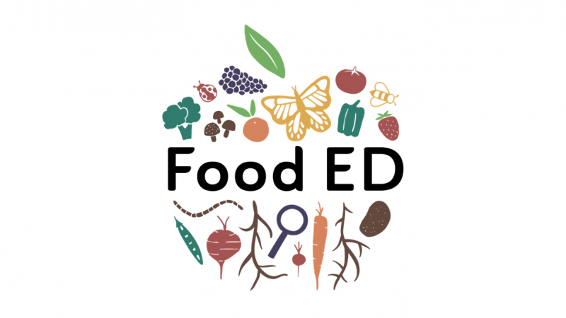 Food ED